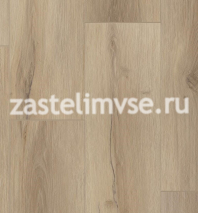 Замковая SPC плитка Tarkett Future House SHESTER
